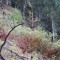 wf_tramblaiclisura_fst_1_nr_06a.jpg