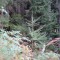 wf_tramblaiclisura_fst_2_nr_15a.jpg