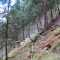 wf_tramblaiclisura_fst_3_nr_19.jpg