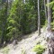 f1_a8_2024.jpg