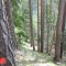 f3_a4_2024.jpg