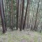 f3_a5_2024.jpg