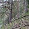 f3_a8_2024.jpg