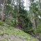 f4_a2_2024.jpg