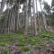 f5_a1_2024.jpg