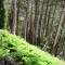 f5_a4_2024.jpg