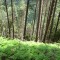 f5_a5_2024.jpg