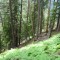 f5_a6_2024.jpg