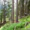 f5_a7_2024.jpg