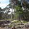 f6_a1_2024.jpg