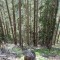 f6_a5_2024.jpg