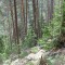 f7_a6_2024.jpg