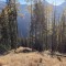 da_1_7253.jpg