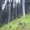 20200609_154204.jpg