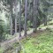 20200609_162623.jpg