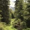 wf_ladir_las-vals_fs-1.1_2022.jpg