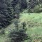 wf_ladir_las-vals_fs-2.2_2022.jpg