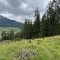 img_5762.jpg
