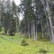 img_5764.jpg