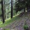 image017-1777458474.jpg