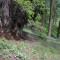 image021-1777458477.jpg