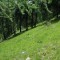 image031-1777458486.jpg