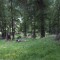 image047-1777458498.jpg