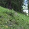 image049-1777458500.jpg