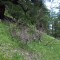 image051-1777458502.jpg
