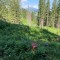 wf_grotzawald_21_5.jpg