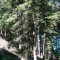 wf_poschiavo_i-cole-08.jpg