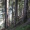 wf_poschiavo_i-cole-10.jpg