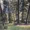 wf_poschiavo_torn-1.jpg