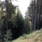 wf_poschiavo_torn-12.jpg