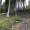 wf_poschiavo_torn-15.jpg