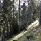 wf_poschiavo_torn-2.jpg