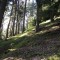 wf_poschiavo_torn-4.jpg