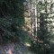 wf_poschiavo_torn-7.jpg