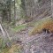 20260511_144243.jpg