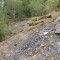 20260511_144724.jpg