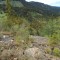 20260511_144824.jpg