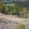 20260511_144909.jpg
