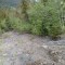 20260511_144954.jpg