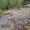 20260511_145006.jpg