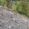 20260511_145110.jpg