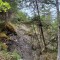 20260511_145528.jpg