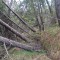 20260511_145617.jpg