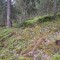 20260511_145921.jpg