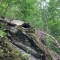 img_4592.jpg