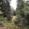 wf_ladir_las-vals_fs-1.1_2021.jpg